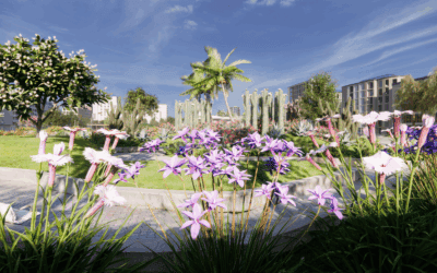 Integración de la biodiversidad en el diseño paisajístico: caso práctico