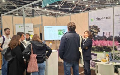 RhinoLands Weltweit: Highlights 2025
